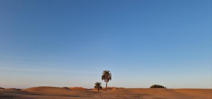 Kasbah Hotel Panorama Merzouga Eksteriør bilde